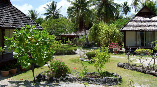 toau pension